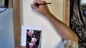 Before the outlines dries I use a wet brush to wet the petal area and let some of the ink bleed to give the petal form.